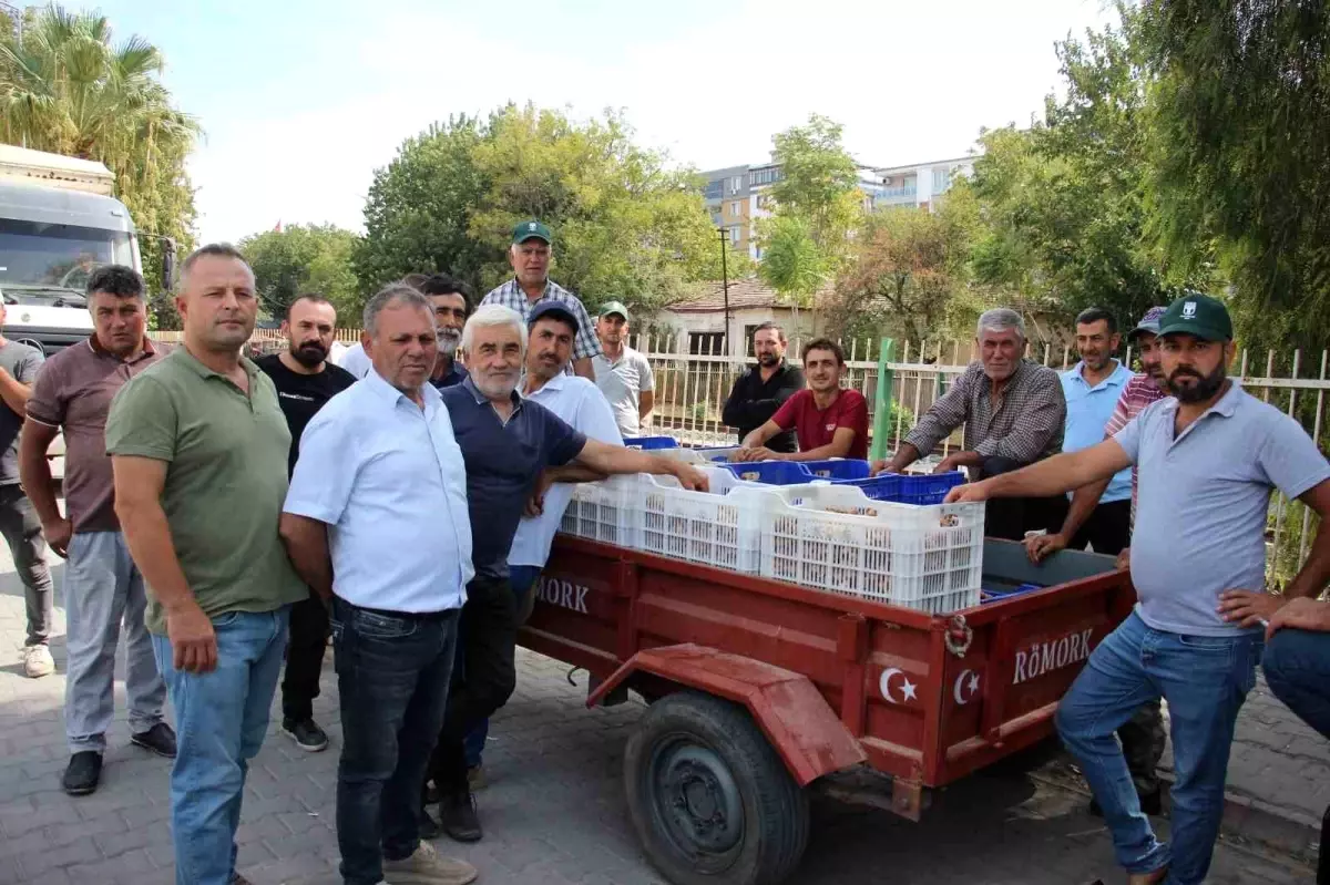 incir alimlari tuccar sorunu nedeniyle durduruldu r7QOynz6