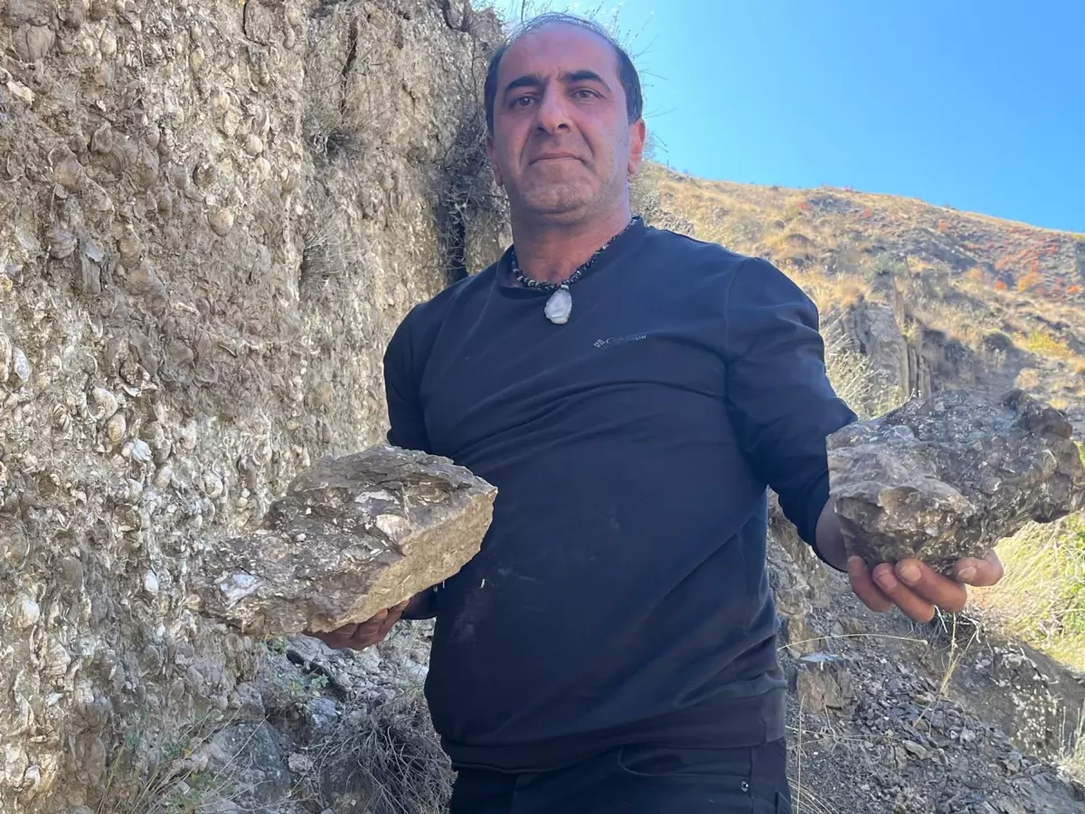 erzurumda 200 milyon yillik fosil kesfi tA6ygBrH