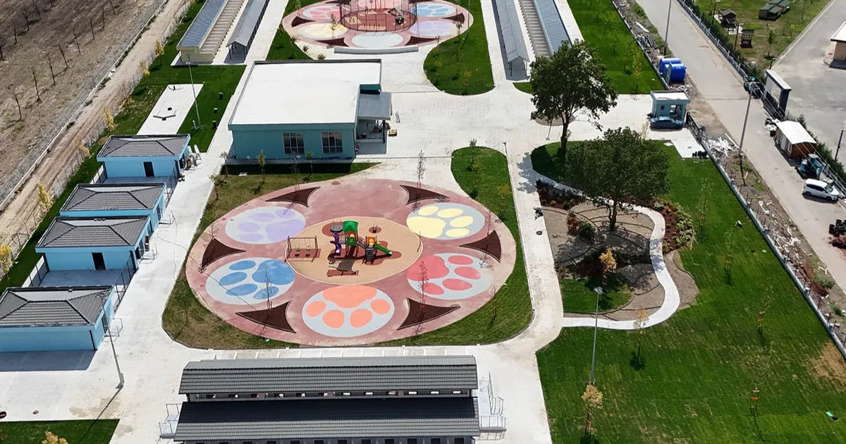 sakaryada sokak hayvanlarina guvenli yuva z3wJQuzw